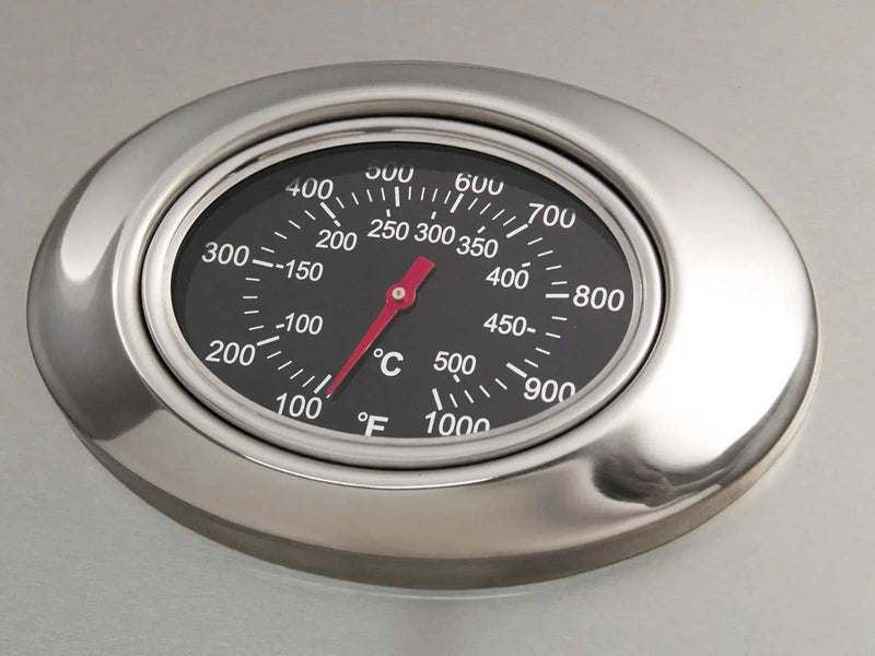 American Outdoor Grill (AOG) 24" T-Series In-Ground Post Gas Grill